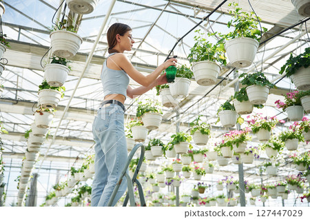 Standing on the ladder, watering the plants. Beautiful florist woman working in garden center Standing on the ladder, watering the plants. Beautiful florist woman working in garden center 127447029