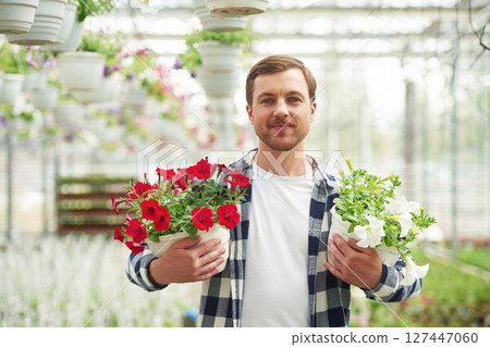 Handsome bearded florist man is working in garden center. Successful employee is in a bright greenhouse Handsome bearded florist man is working in garden center. Successful employee is in a bright greenhouse 127447060