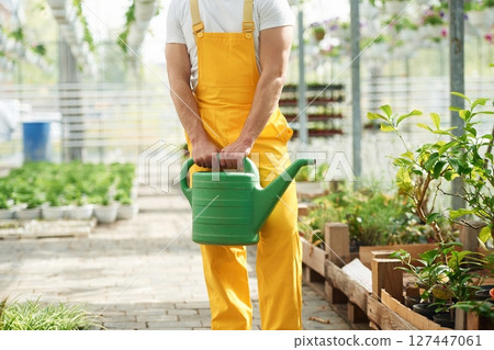 Green colored watering can. Florist man working in garden center. Successful employee is in a bright greenhouse Green colored watering can. Florist man working in garden center. Successful employee is in a bright greenhouse 127447061