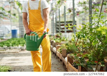 Green colored watering can. Florist man working in garden center. Successful employee is in a bright greenhouse 127447062