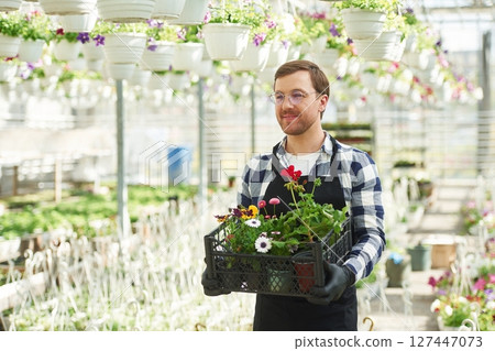 In glasses, with flowers in hands. Man is working in garden center. Successful employee is in a bright greenhouse In glasses, with flowers in hands. Man is working in garden center. Successful employee is in a bright greenhouse 127447073