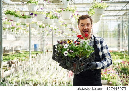 Collecting order. In plastic box. Florist man working in garden center. Successful employee is in a bright greenhouse Collecting order. In plastic box. Florist man working in garden center. Successful employee is in a bright greenhouse 127447075