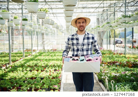 In straw hat. Florist man working in garden center. Successful employee is in a bright greenhouse In straw hat. Florist man working in garden center. Successful employee is in a bright greenhouse 127447168