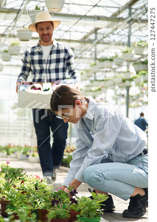 Man in straw hat is holding box with plants. Florist woman is working in bright greenhouse Man in straw hat is holding box with plants. Florist woman is working in bright greenhouse 127447275