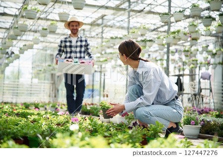 Man in straw hat is holding box with plants. Florist woman is working in bright greenhouse 127447276