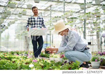 Woman is with straw hat. Florist man is working in bright greenhouse 127447277