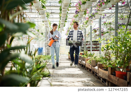 Front view. Florist man and woman are working together in bright greenhouse 127447285