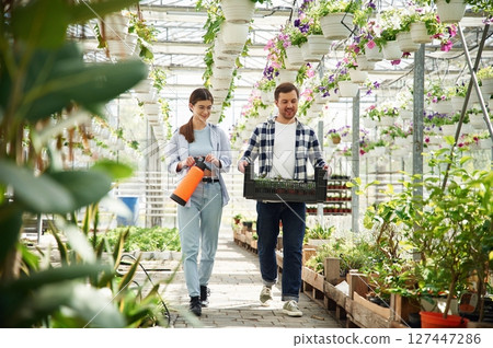 Front view. Florist man and woman are working together in bright greenhouse 127447286