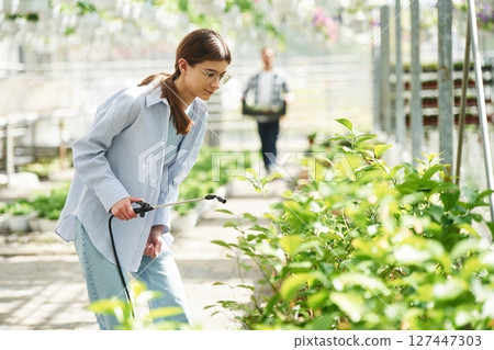 Man behind the florist woman that is watering plants in greenhouse Man behind the florist woman that is watering plants in greenhouse 127447303