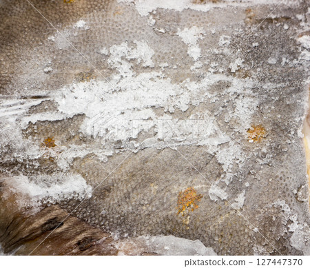 Frozen flounder. Frozen flounder. 127447370