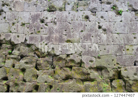 Bullet marks from the Satsuma Rebellion at Kagoshima Castle 127447407