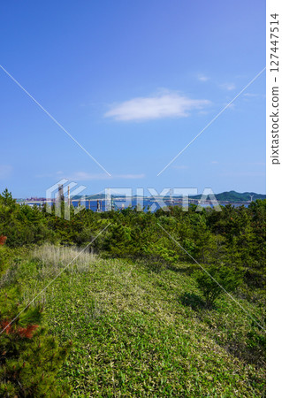 從白鳥灣瞭望台眺望室蘭市白鳥橋 127447514