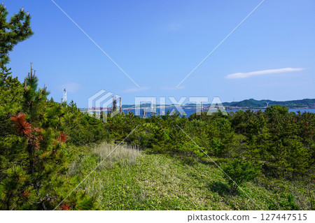 從白鳥灣瞭望台眺望室蘭市白鳥橋 127447515