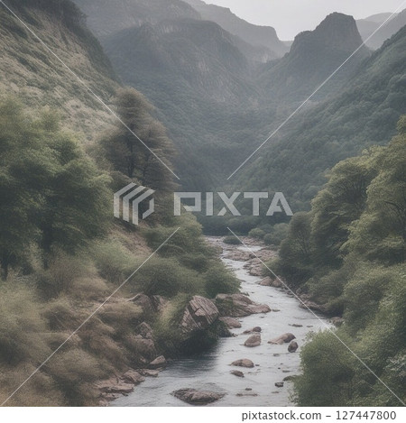 Fresh greenery in the valley and the valley shimmering in mist 127447800