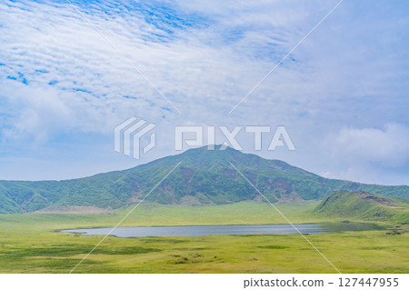 (Kumamoto Prefecture) Fresh greenery of Aso, Kusasenrihama and Mt. Eboshi 127447955