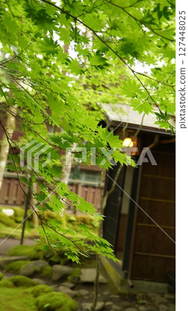 輕井澤初夏的回憶 127448025