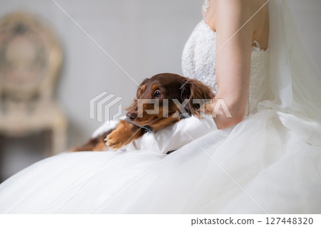 Doggie Wedding 2 127448320