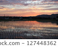 Evening scene 1 127448362