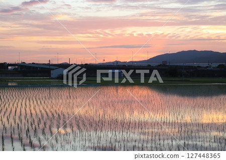 Evening Scene 4 127448365