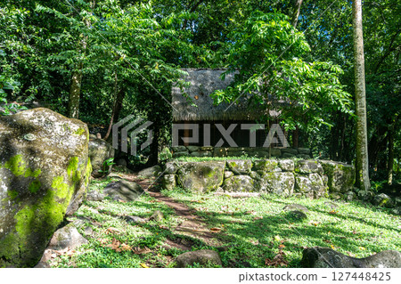 Thatched-roof building at Kamuihei archaeological site, Nuku Hiva, Marquesas Islands. French Polynesia 127448425