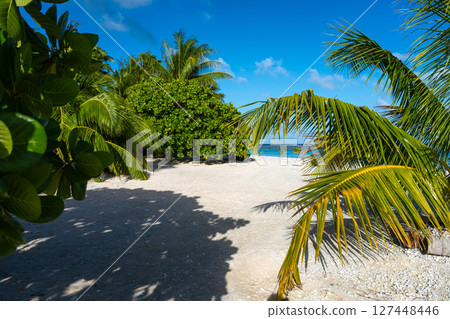Tropical paradise beach on Tikehau Atoll, French Polynesia, with lush greenery Tropical paradise beach on Tikehau Atoll, French Polynesia, with lush greenery 127448446