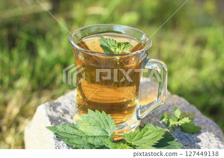 Nettle tea made from nettles Urtica dioica. Nettle tea made from nettles Urtica dioica. 127449138