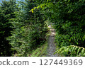 Mountain Path: Cliff Soba Soba Path 127449369