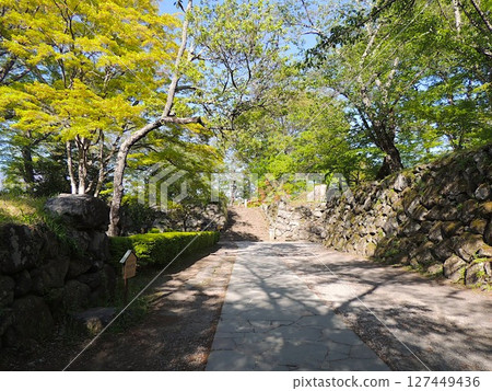 分隔門的小諸城遺址 分隔門的小諸城遺址 127449436