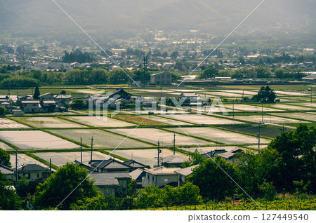 夕陽下的稻田與街道 [北安曇郡池田町] 127449540