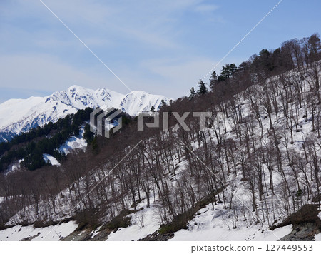 Spring scenery of the tourist attraction, the Tateyama mountain range 127449553