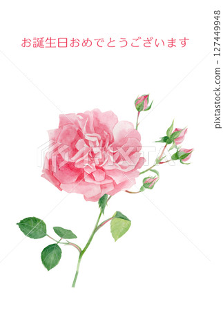 生日卡片上有粉紅色玫瑰花插圖，上面畫著水彩 127449948