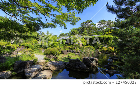 葉山潮騷公園的雨季 127450322