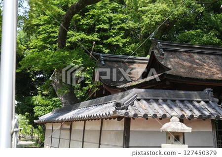 Historic shrine building 127450379