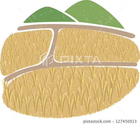 Scenery of a rice field before harvesting (autumn, farmer, combine harvester) 127450913
