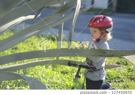 Child Observes Flower Behind Agave on Bike 127450970