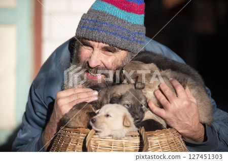 An elderly man with small puppies sitting in a wicker basket. Dog breeder. Puppy seller. Dog kennel. 127451303