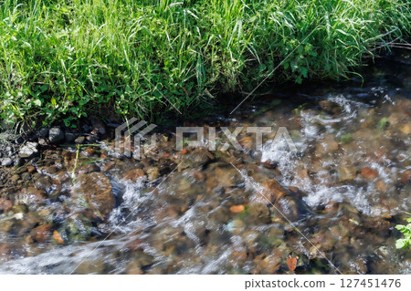 A stream with spring water (Minamiaso Village, Aso District) A stream with spring water (Minamiaso Village, Aso District) 127451476