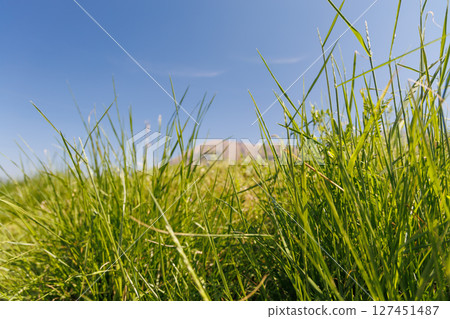 Spring rural scenery (Minamiaso Village, Aso District) 127451487