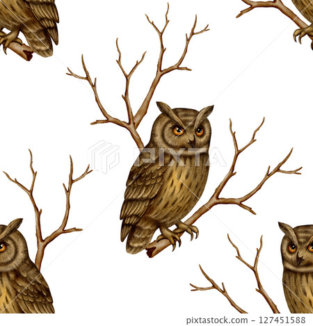 Seamless pattern with brown owls on branches Seamless pattern with brown owls on branches 127451588