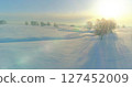 Aerial view of cold winter landscape arctic field, trees covered with frost snow, ice river and sun rays over horizon. Extreme low temperature weather. 127452009