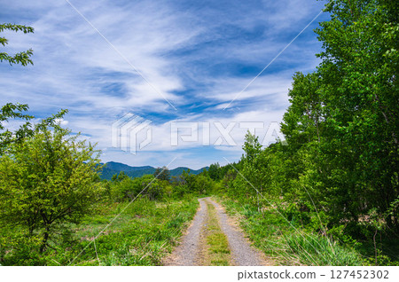 Norikura Highlands Mountain Bike Trail in Early Summer Norikura Highlands Mountain Bike Trail in Early Summer 127452302