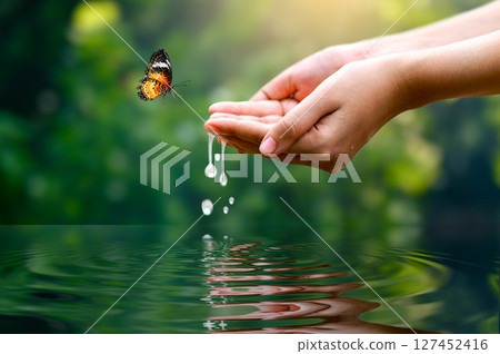 Environment Water Hands. Hands Holding Water Drops with Butterfly in Nature Symbol of Peace and Harmony Gentle Hands Catching Water Droplets with Butterfly Nature Care and Tranquility Environment Water Hands. Hands Holding Water Drops with Butterfly in Nature Symbol of Peace and Harmony Gentle Hands Catching Water Droplets with Butterfly Nature Care and Tranquility 127452416