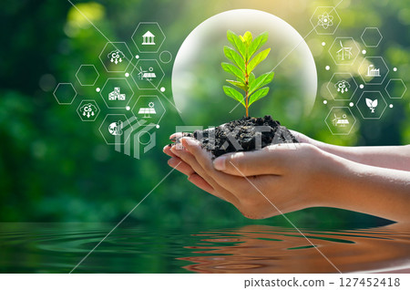 environment Earth Day Water Tree Hand. Green Hand Holding Nature Environmental Conservation and Hope 127452418