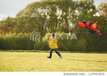 Trees, beautiful nature. Little boy is playing with a kite on the field at summer time 127452859