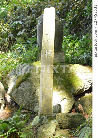 Semizuka (Risshakuji Temple grounds / Yamadera, Yamagata City, Yamagata Prefecture) Semizuka (Risshakuji Temple grounds / Yamadera, Yamagata City, Yamagata Prefecture) 127453533