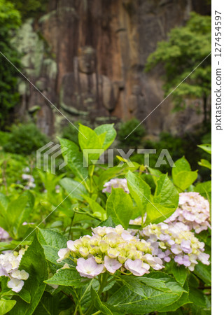 Hydrangeas and rock-carved Buddha at Fukoji Temple on Mount Chikushi Hydrangeas and rock-carved Buddha at Fukoji Temple on Mount Chikushi 127454597