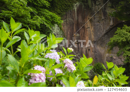 築紫山福光寺的繡球花和岩雕佛像 築紫山福光寺的繡球花和岩雕佛像 127454603