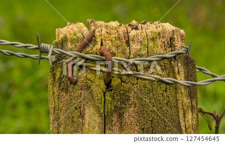 Nails and wires 127454645