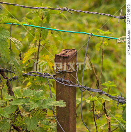 Iron with thorn wire 127454646