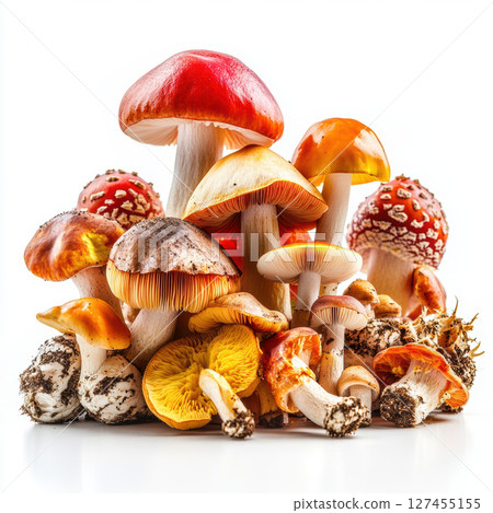 muscaria mushrooms amanita general solo simple background 127455155
